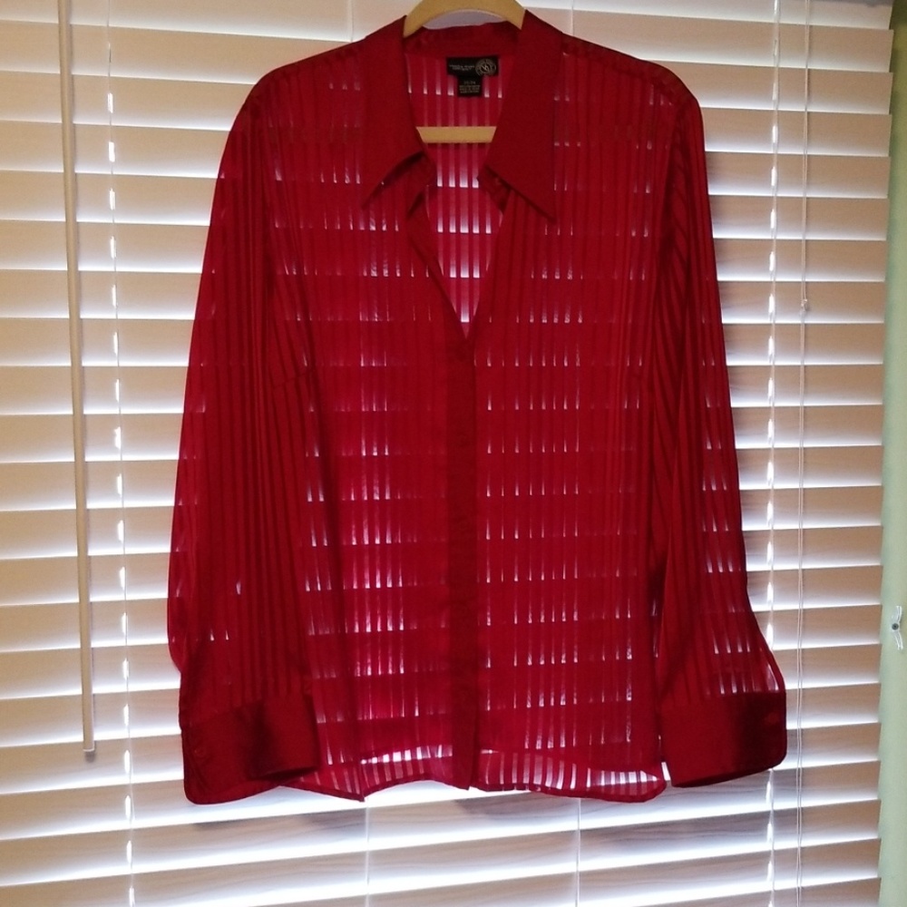 Sheer Striped Blouse